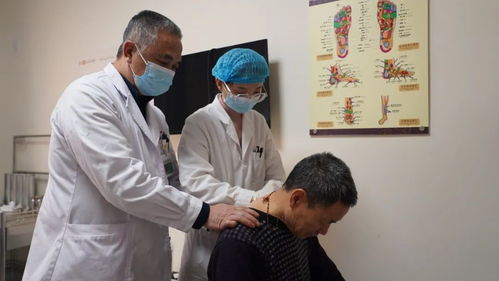 特色中醫診療服務，讓居民在家門口樂享健康